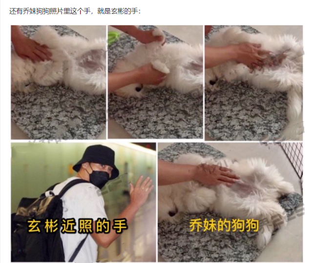 复合实锤?网友偶遇玄彬宋慧乔散步遛狗,具体是怎么回事?