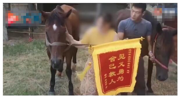 令人心疼！福建下海救人的两匹救命恩马去世 救人后不久开始发高烧
