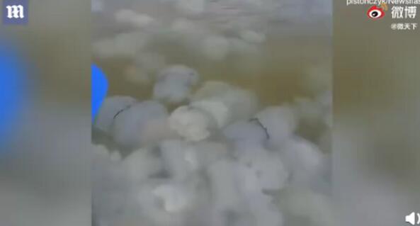 画面震撼!乌克兰巨大水母群覆盖海面 网友：密集恐惧症犯了