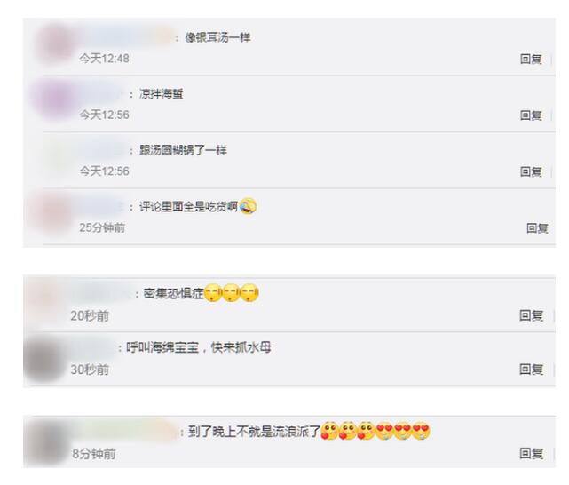 画面震撼!乌克兰巨大水母群覆盖海面 网友：密集恐惧症犯了
