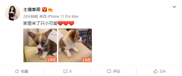 深夜壁咚?王岳伦再曝与美女搂腰亲密照 李湘发内涵照暗示了什么?