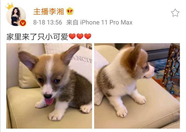 【最新】王岳伦再曝与美女搂腰亲密照,李湘王岳伦名下公司已注销