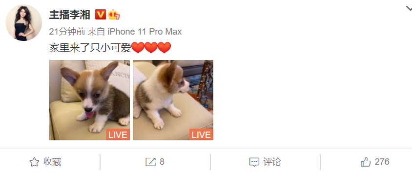 【惊】李湘王岳伦名下公司已注销是怎么回事?什么情况?终于真相了,原来是这样!