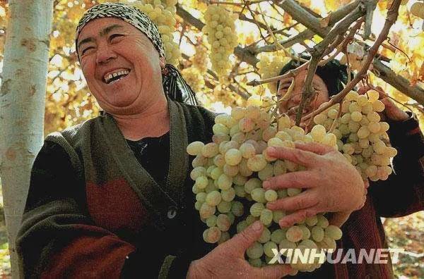 美知名记者曝惊人内幕：美国这样炮制涉疆假新闻