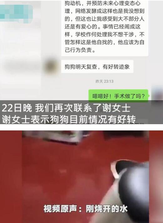 准研究生虐狗事件狗主人发声是怎么回事?什么情况?终于真相了,原来是这样!
