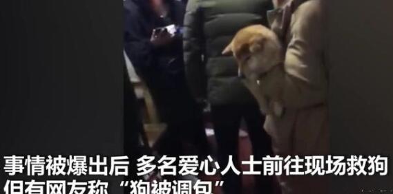 准研究生虐狗事件狗主人发声是怎么回事?什么情况?终于真相了,原来是这样!