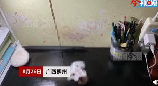 广西女租客发现天花板滴血是怎么回事?什么情况?终于真相了,原来是这样!