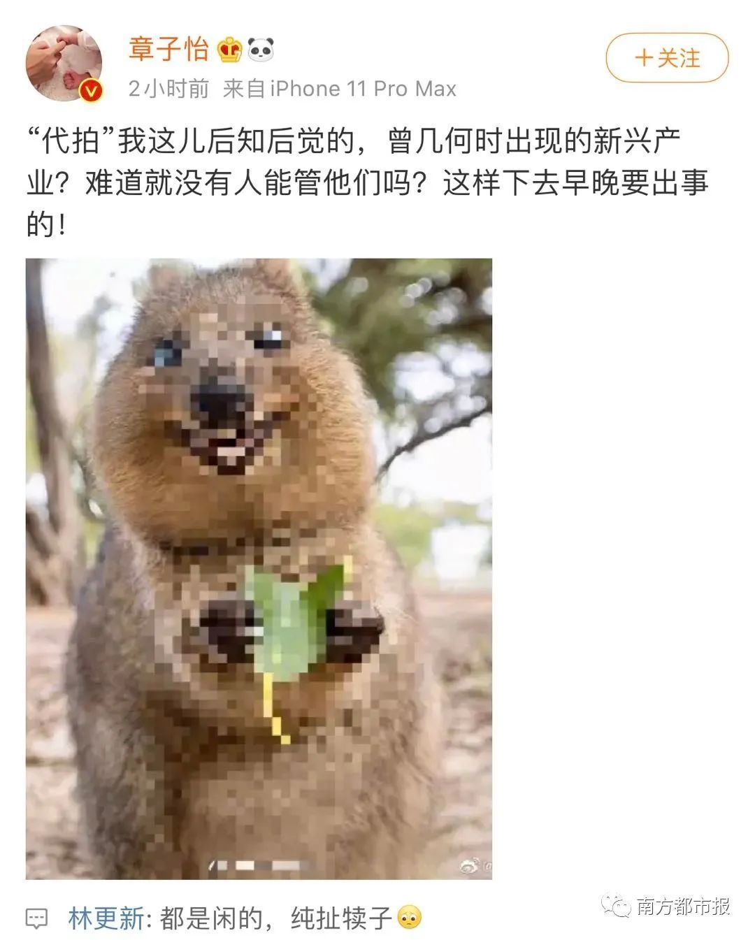 热搜第一！章子怡发文斥代拍：这样下去迟早出事！