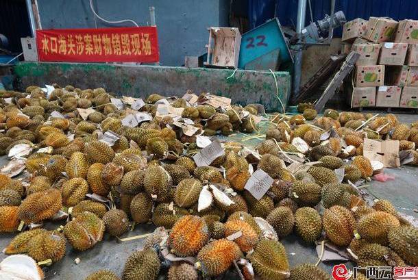 广西官方通报村民哄抢榴莲食物中毒 网友：便宜不是那么好占的