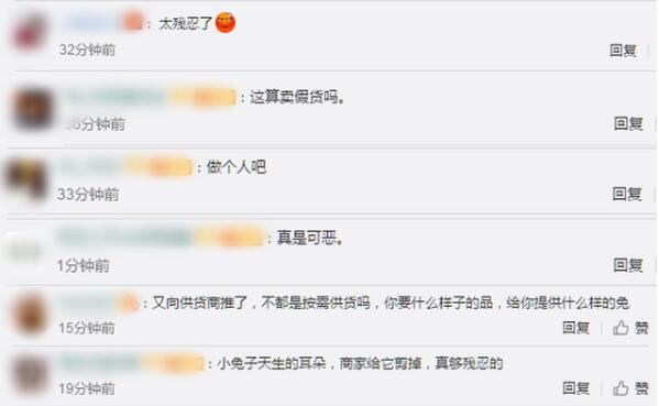 宠物店回应为抬价剪兔耳是怎么回事？终于真相了，原来是这样！