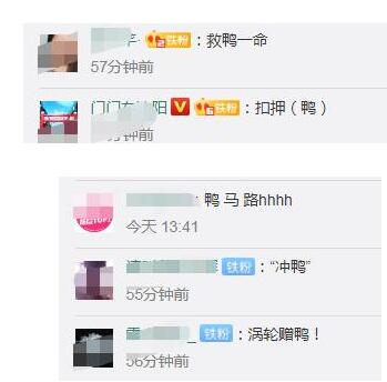火速让开!50多只鸭大摇大摆上高速是怎么回事?终于真相了,原来是这样!