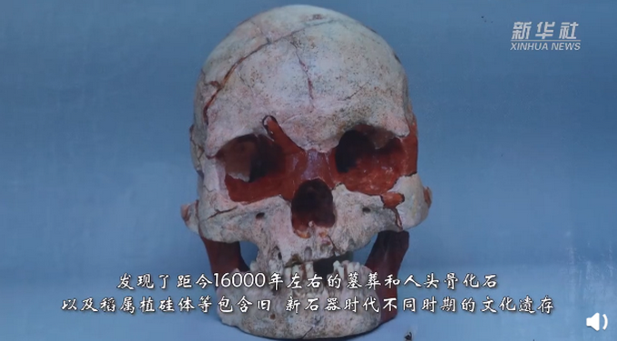 重磅发现!16000年前的人头骨化石被发现 他长什么样?那时候也拼颜值!
