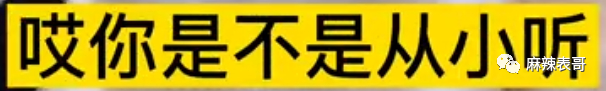 杨笠和储殷的口水大战，是最近最好笑的笑话了吧