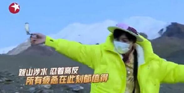 道歉了!极限挑战嘉宾摘国家二级保护植物 系水母雪兔子