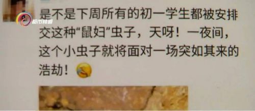 【全城通缉】昆明9万学生全城找鼠妇做实验 这小家伙你小时候也见过!