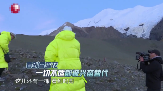 【吃瓜围观】官方回应综艺嘉宾采摘珍稀植物 节目组的锅or明星的锅？