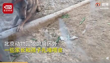 该!动物园喂狼吃草游客被列入黑名单 列入黑名单会有什么后果?