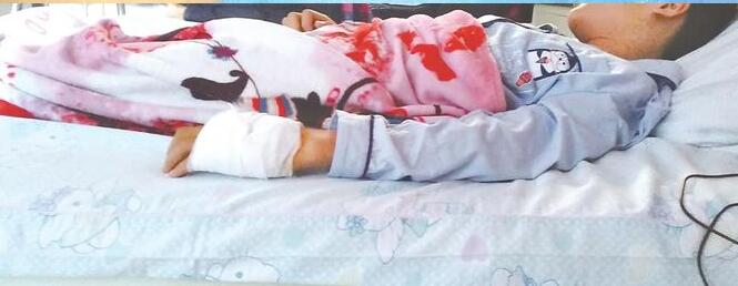 谁来担责？13岁男孩网购宠物蛇被咬进ICU 网购宠物蛇寄来毒蛇竹叶青