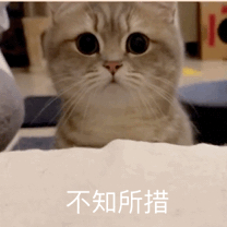 穷到惊醒!网友吐槽国庆放假要赶超5场婚宴