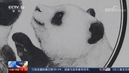 历时10个月！2021熊猫金银纪念币图稿首次公布