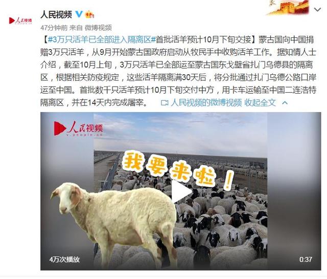友谊的馈赠！3万只活羊已全部进入隔离区 将在14天内被全部屠宰