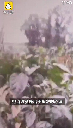 迷惑行为!因嫉妒心删掉同学专升本志愿被抓