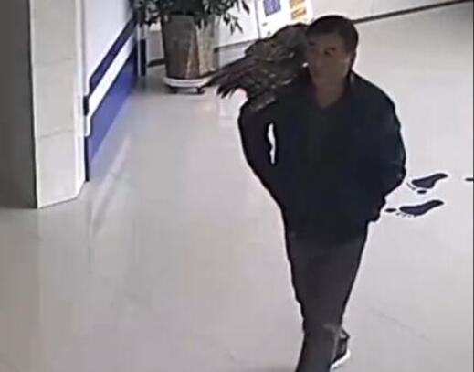 男子捡到猫头鹰肩扛送派出所说了什么?现场发生了什么?
