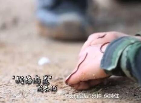 好样的，特战女兵!特战女兵身上爬满虫子竟纹丝不动