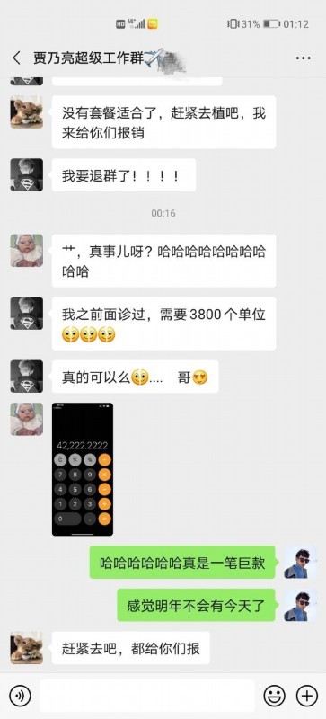 【吃瓜围观】贾乃亮双12赞助员工植发 网友:还招不招人?