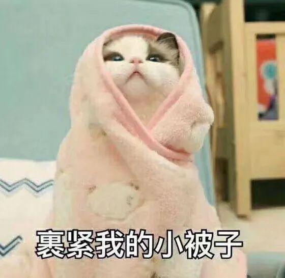 颤抖吧!2021首个寒潮预警来袭新 北京或挑战21世纪最低气温纪录