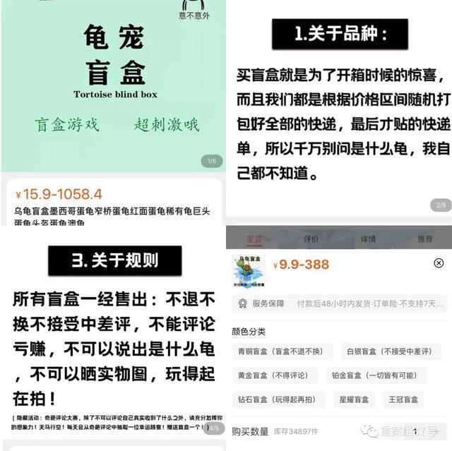 起底活体动物盲盒乱象:售出不退换 不接受中差评
