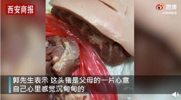惊呆！男子回家探亲离别时爸妈送活猪