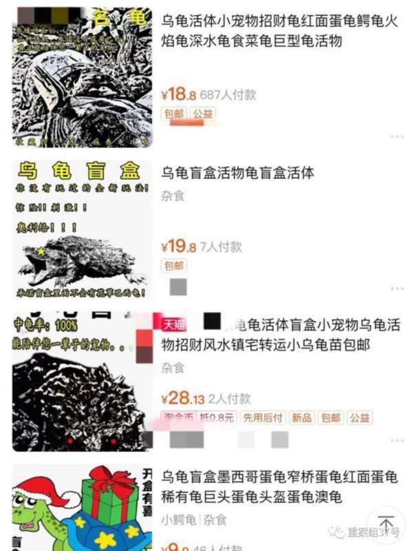 起底活体动物盲盒乱象:售出不退换 不接受中差评