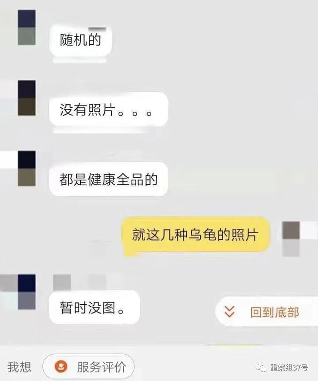 起底活体动物盲盒乱象:售出不退换 不接受中差评