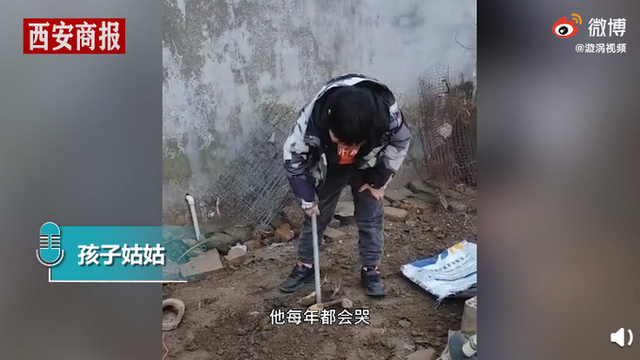 过年杀鸡10岁男孩崩溃大哭 称就算花100万也要救活