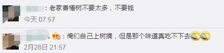 时鲜货，“金贵”的价格！上海香椿卖到90元一斤