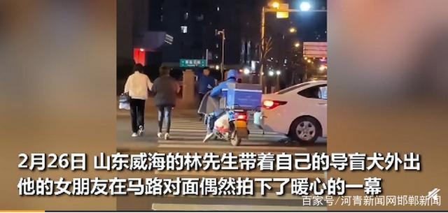 太暖了!网友本想记录导盲犬如何过马路,陌生大姐意外入镜……