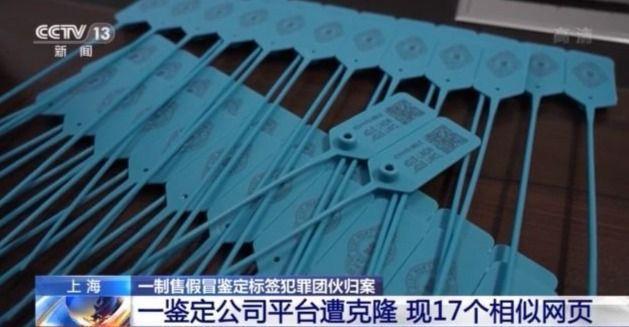 涉案金额高达700余万元！假冒平台为假冒商品认证“正品” 这个团伙被抓了