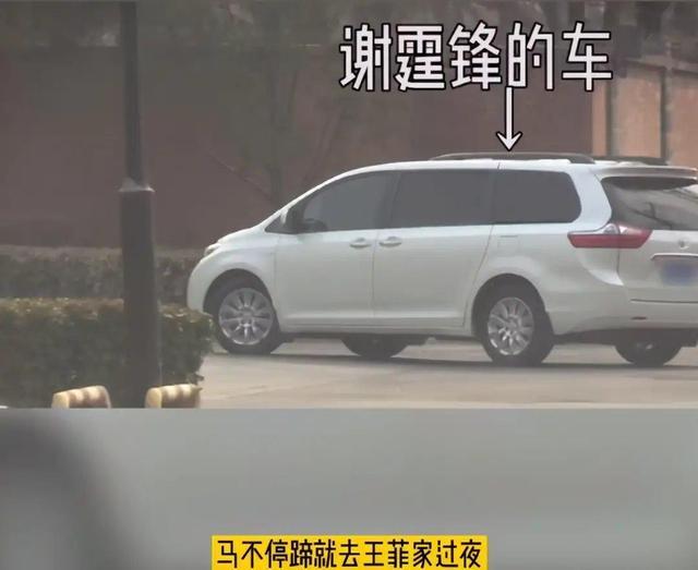 感情成谜!谢霆锋被拍到去王菲家过夜