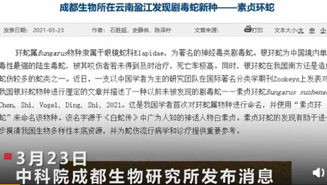 素贞环蛇！中科院给一剧毒蛇新种命名为素贞