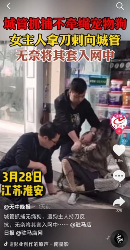 城管抓捕未拴绳狗遭女主人刀刺 具体发生了什么?