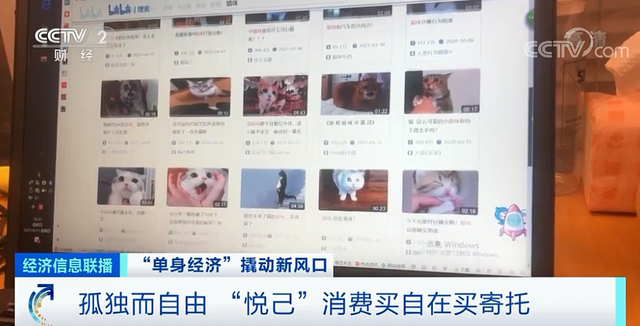 一线城市单身青年40%为“月光族”，中国超2亿人单身