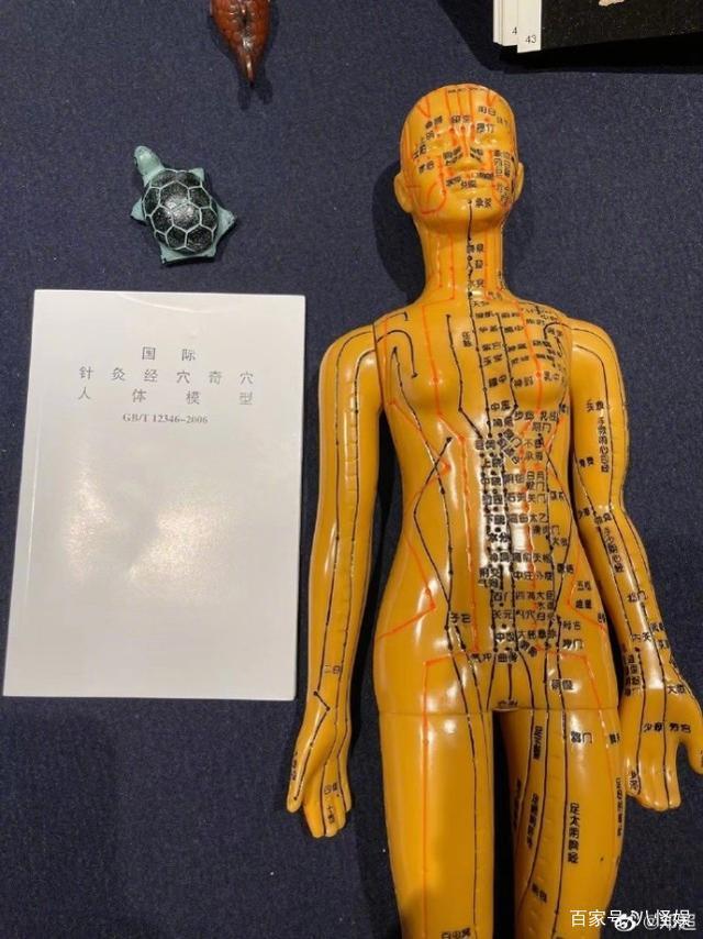 邓超慌了!邓超看见孙俪的针灸模型问逃不逃,是你你逃不逃?