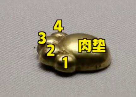 【猛男爱猫】古墓出土2700年前猫爪太萌了 墓主是男性