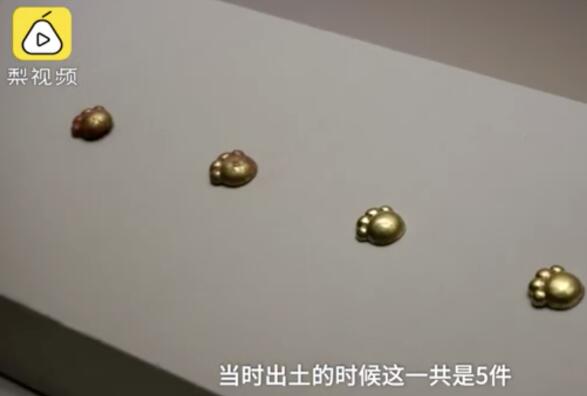 【猛男爱猫】古墓出土2700年前猫爪太萌了 墓主是男性