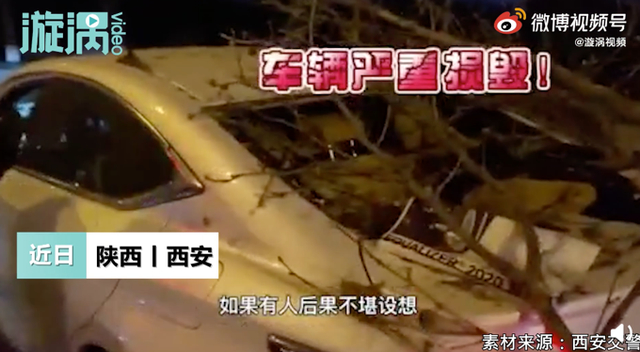 国家一级运动员酒驾狂奔没跑过交警 网友：万能的交警叔叔