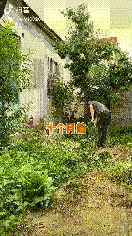 【男版李子柒】男子将闲置10年老宅改成别墅,仅花3.5万!