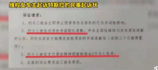 要搞成“连续剧”？维权女车主起诉特斯拉