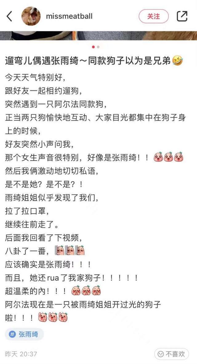 张雨绮与小8岁的男友李柄熹遛狗 被认出后闪人