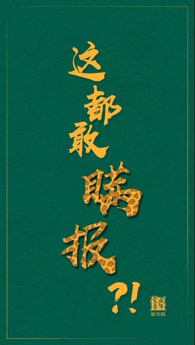 【专家判断第3只豹子或已死亡】第3只豹子野外生存超21天要么隐蔽起来了,要么可能已死亡